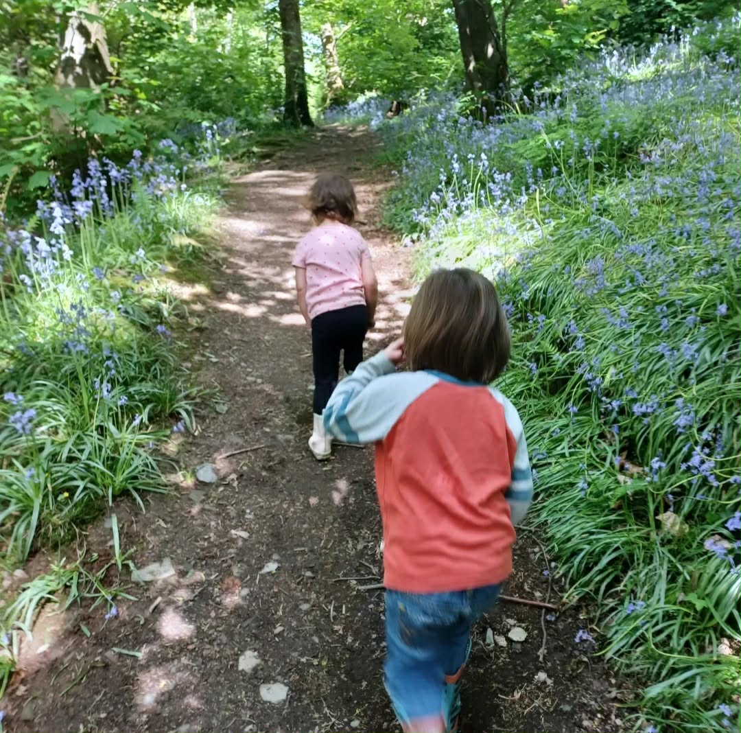 Children walking a woodland path lined with bluebells